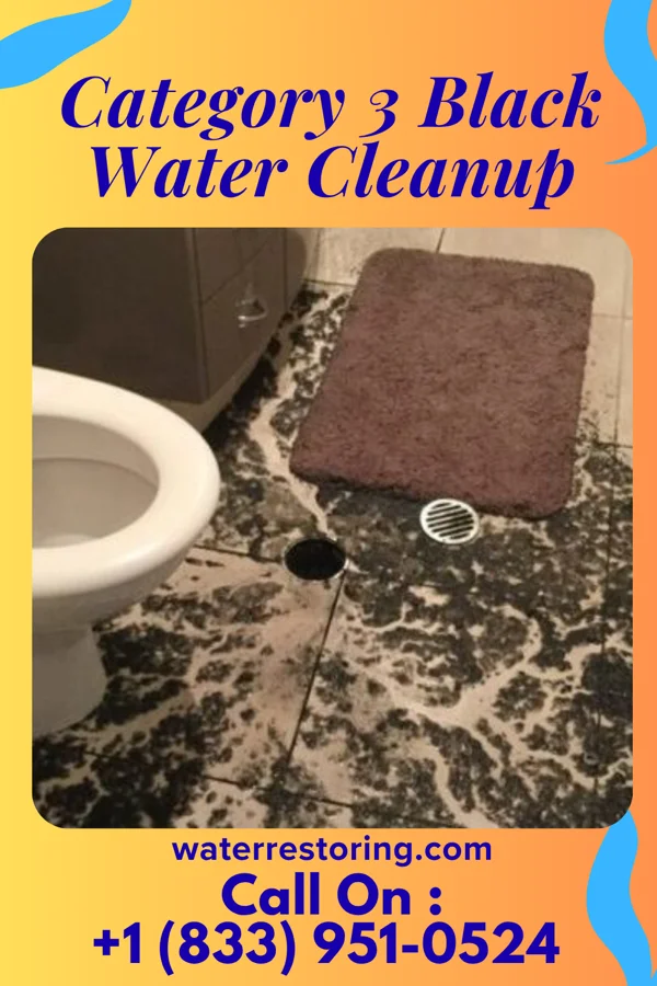 Category 3 Black Water Cleanup in Yosemite Lakes, CA